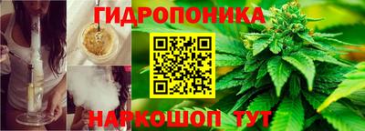 тгк Волжск