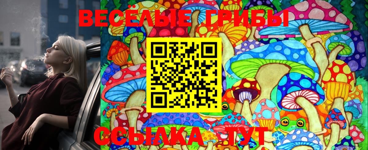 Псилоцибиновые грибы Psilocybe  Вход с VPN  Карачаевск 