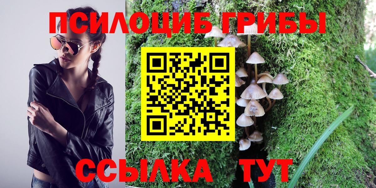 Псилоцибиновые грибы Cubensis Карачаевск